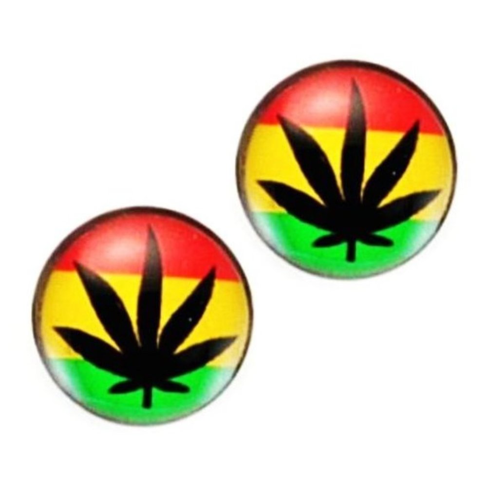WOMEN'S STAINLESS STEAL 316L SILVER ACRYLIC STUDS